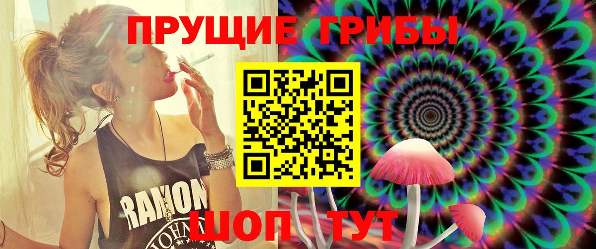 Псилоцибиновые грибы Psilocybe  Вход с VPN  Мытищи 